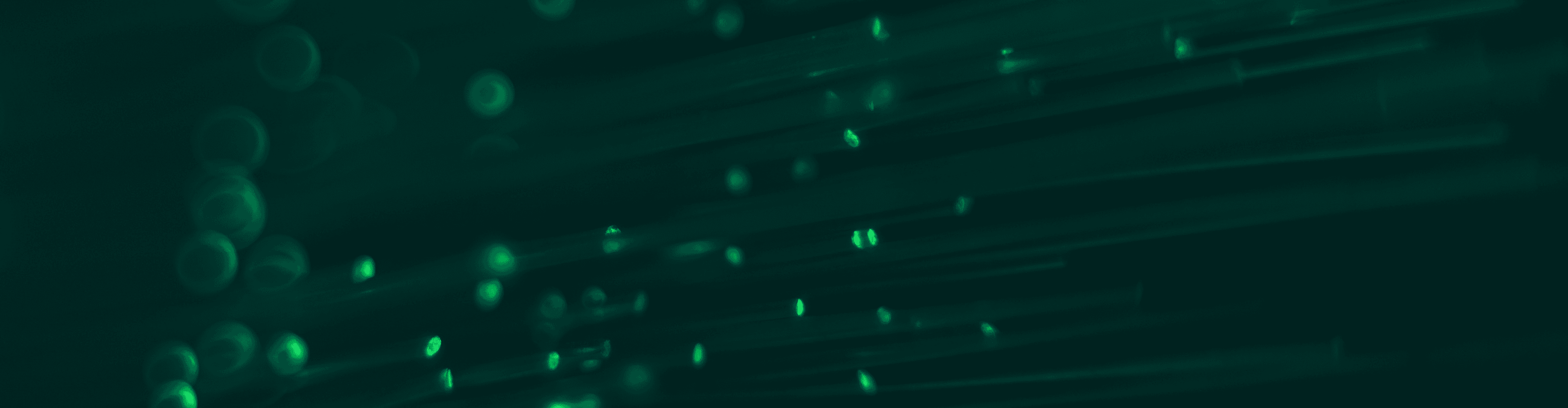 One pane of glass: how HBF Health unified monitoring with Dynatrace